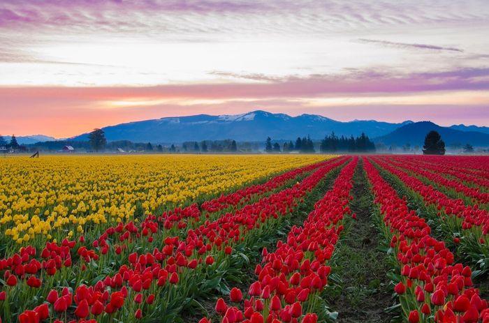 NWR - Prettiest picture of where you live.