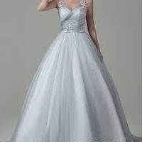 This is the actual dress.  Still trying to decide.....HELP!!!  ;)