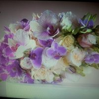 best SPRINGGGGG COLORS??