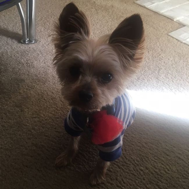 NWR: Show me your pups!