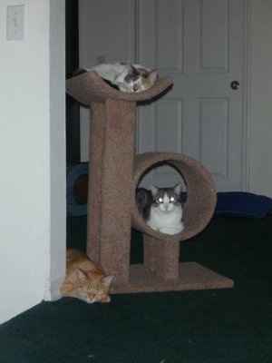 NWR: Furry Friends