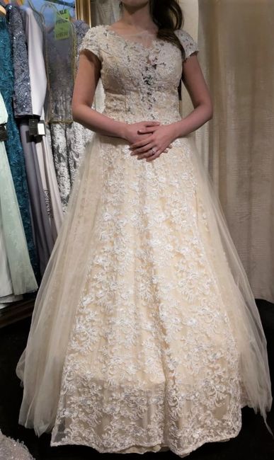 What kind of veil suits this lace dress? 1