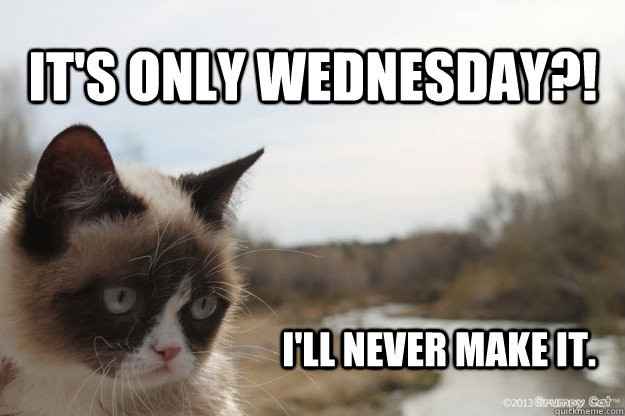 Meme your week (so far)!