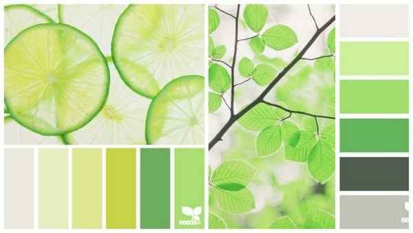 Color Schemes