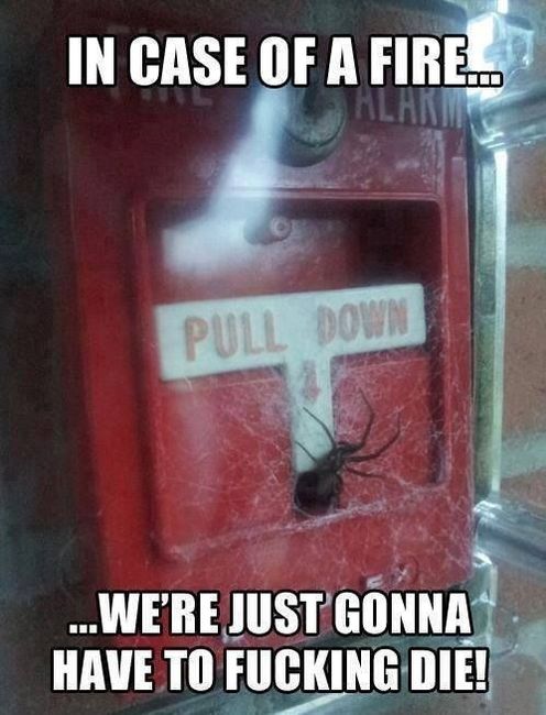 I need some meme love