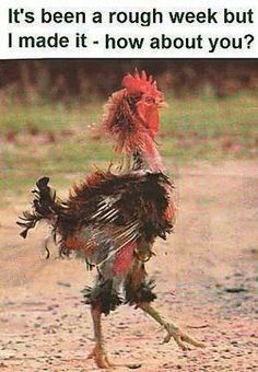 NWR: Rough morning...