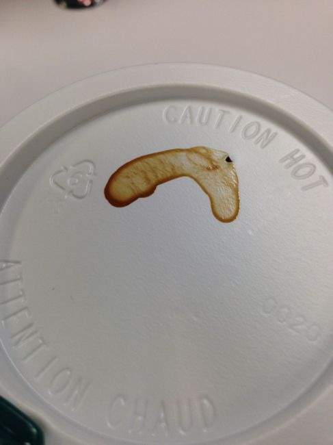NSFW/NWR: Veggie Peen!!!!