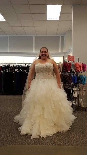 I Said Yes to the Dress!!