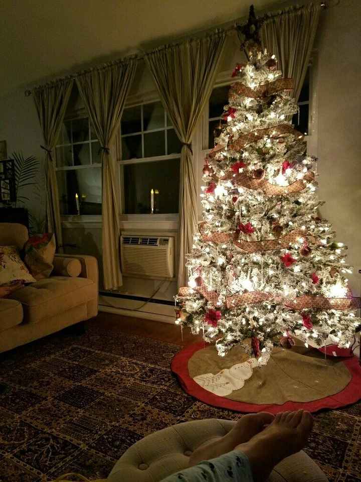 NWR-show me your Xmas trees