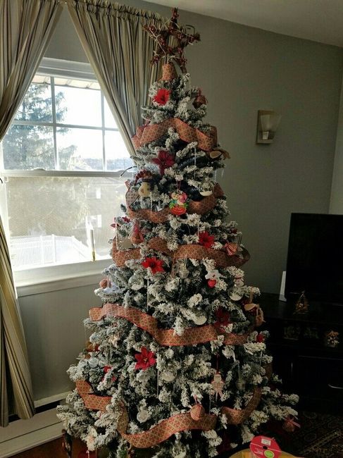 NWR-show me your Xmas trees