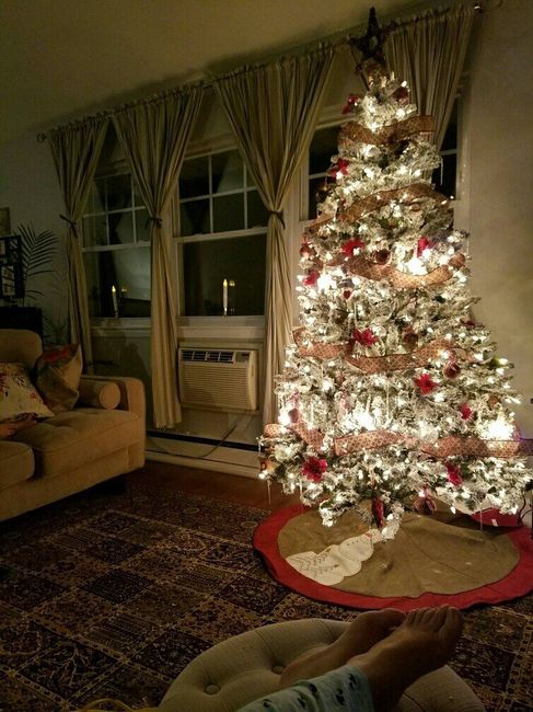 NWR-show me your Xmas trees