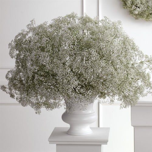 fresh flowers