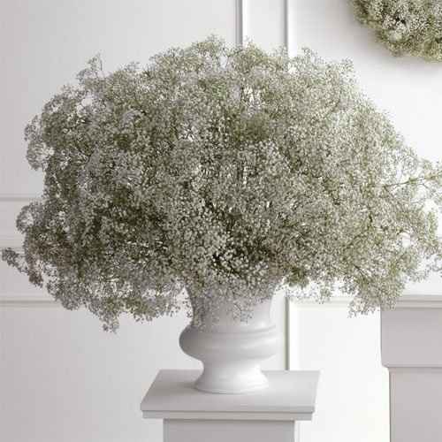 fresh flowers