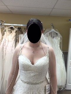 Choosing the dresss...torn between two