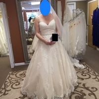 Choosing the dresss...torn between two