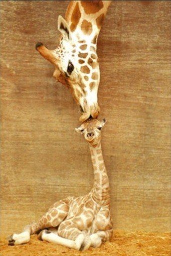 AWWWWWW