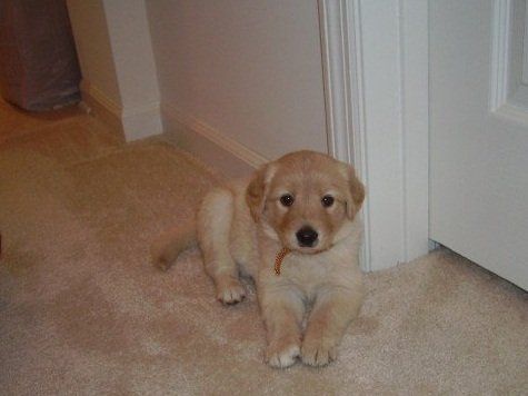 AWWWWWW
