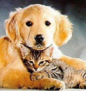AWWWWWW