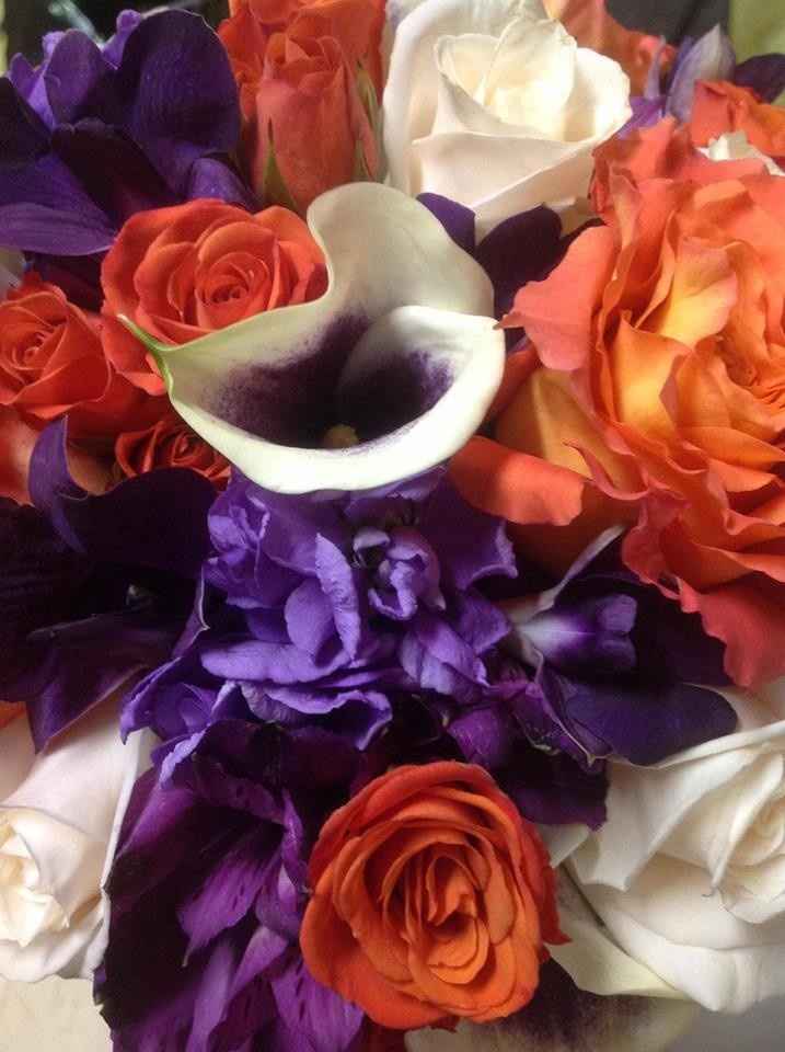 Never Introduced Myself