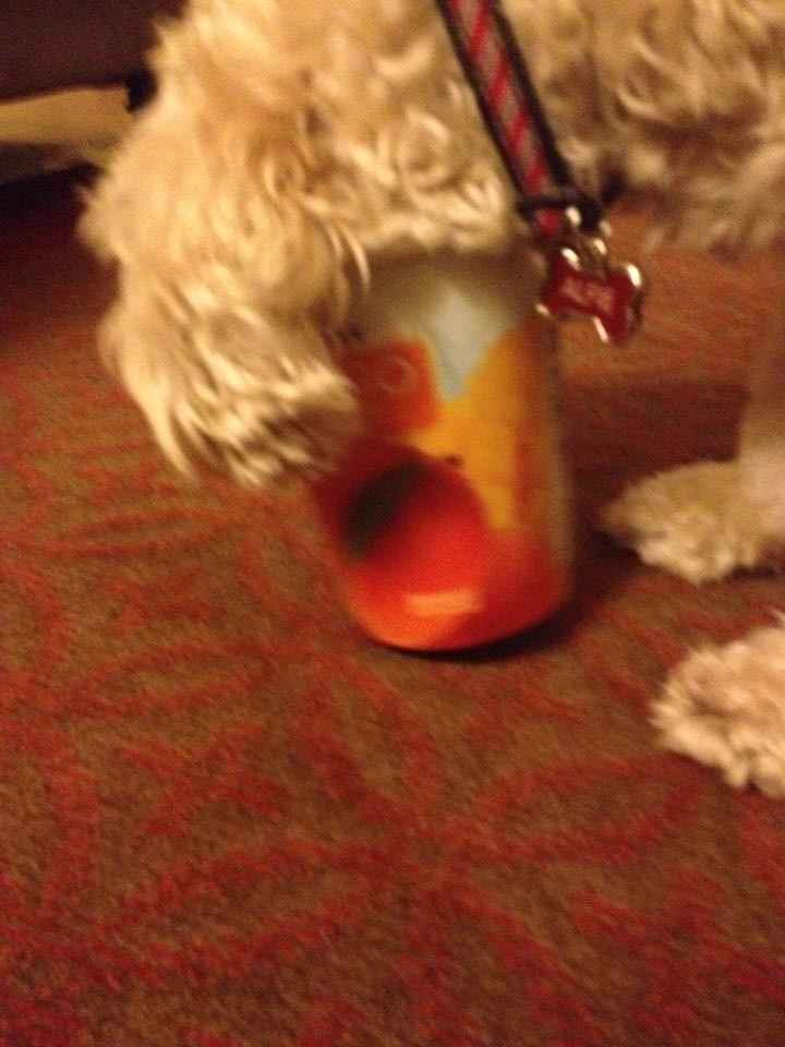 Nutri Chef USA - gimmick?