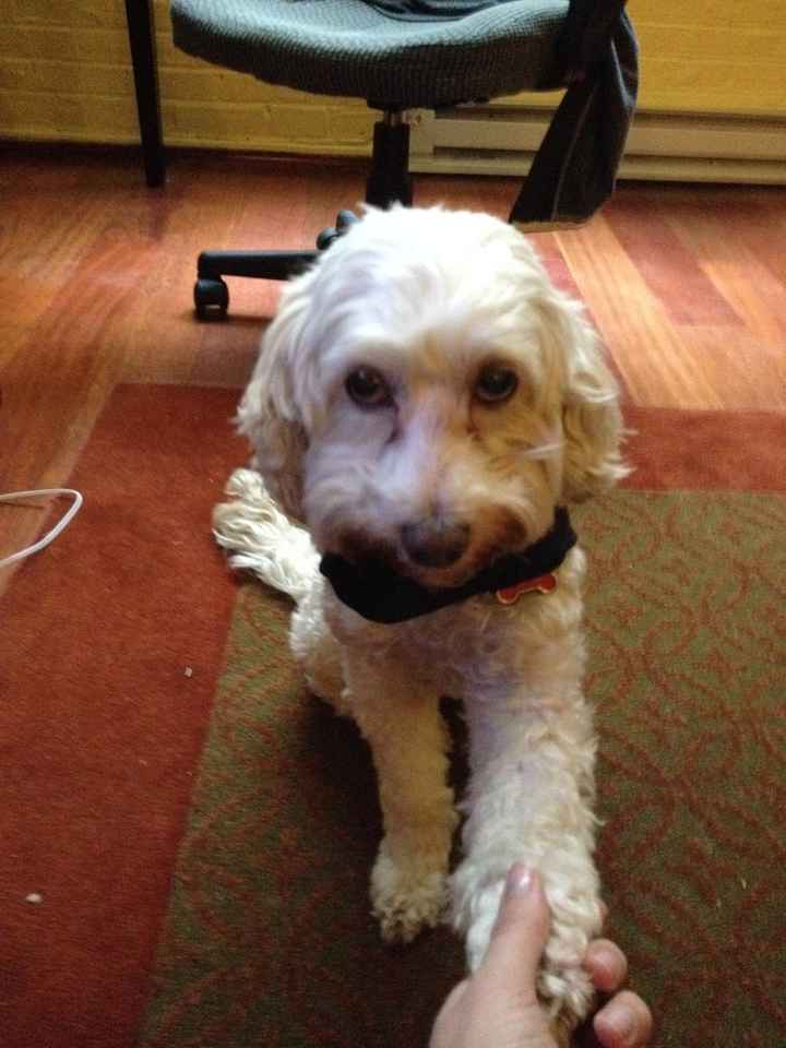 Registering for a charity...wording advice