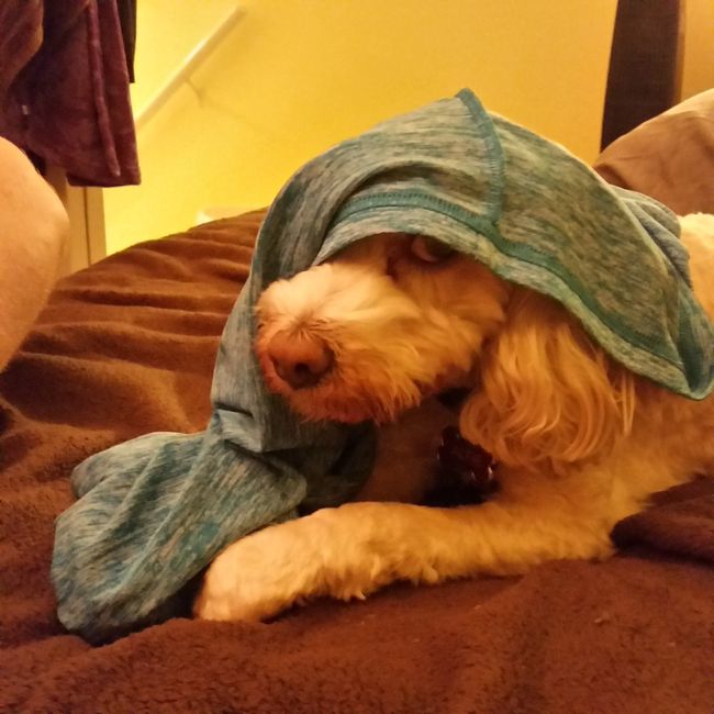 NWR- Furbaby Friday