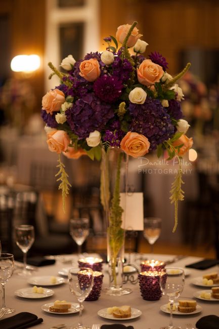 Koch Bride with some PRO PICS!!!!