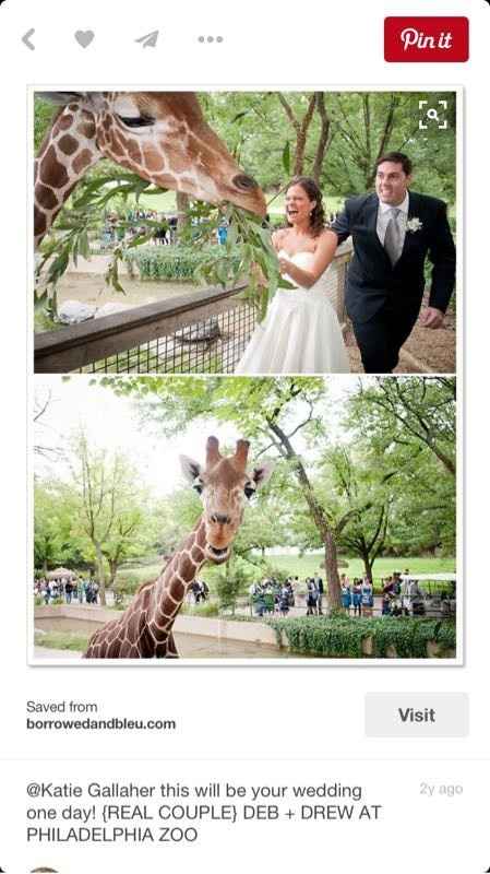 Engagement Pictures - Zoo!