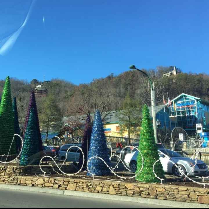 PSA: Go to the Smoky Mountains!!