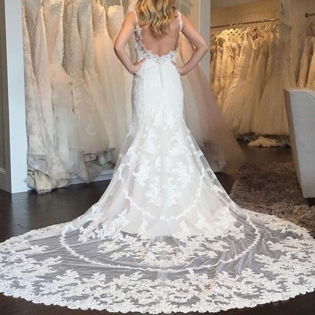 Veil or No veil?