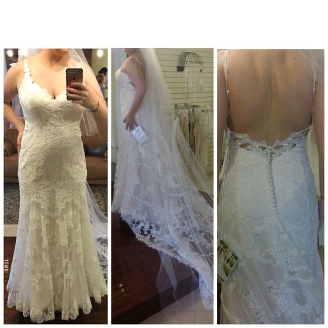 Veil or no veil? Pros and cons?