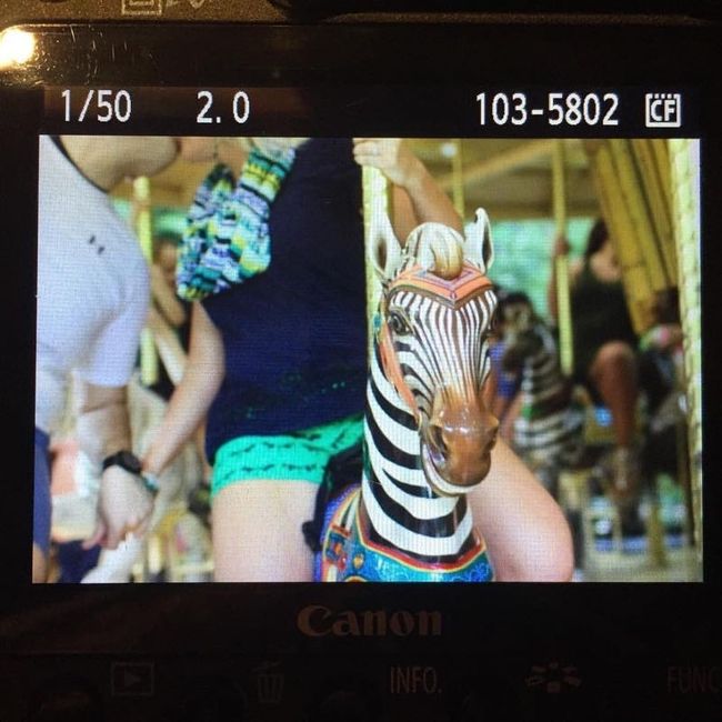 Zoo Engagement Pics Today!!!!