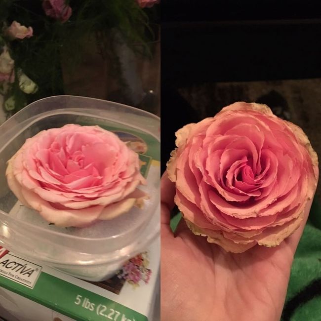Update: successfully preserved my wedding flowers!!