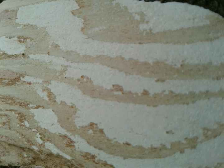 My First Trip To Disney! - 1