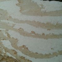 My First Trip To Disney! - 1