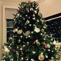 NWR: Show me your Christmas Trees, Hanukkah decor, or any other holiday stuff you put out!!