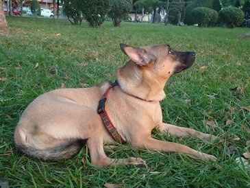 Another Friday another workout! Come on ladies! You're slacking!!! puppy pics!