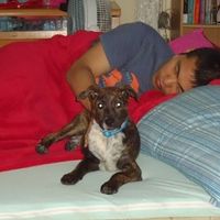 Another Friday another workout! Come on ladies! You're slacking!!! puppy pics!