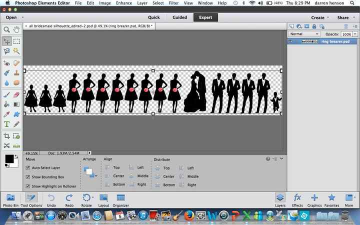 Silhouette Programs DIY