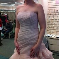 Dress (pics)