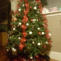 (NWR) Christmas ornaments!!