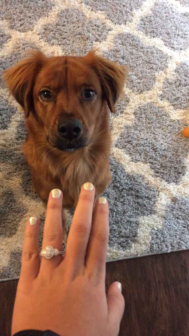 Brides of 2020!  Show us your ring! - 2