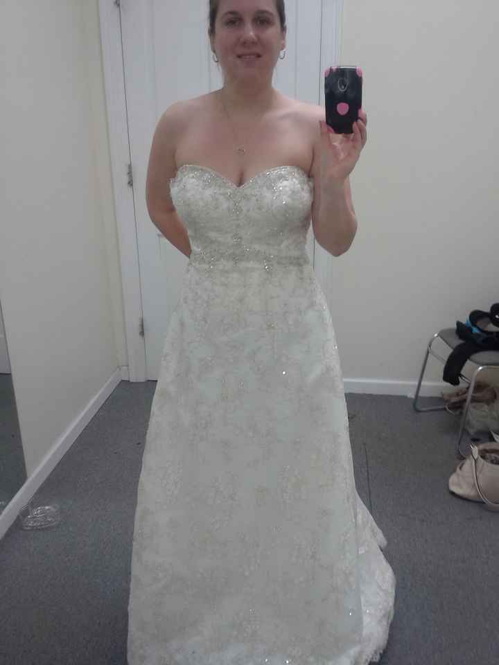 Dress fitting (pic)