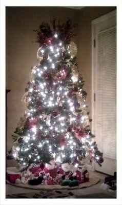 NWR- Lets see your Christmas trees!!!