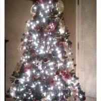 NWR- Lets see your Christmas trees!!!