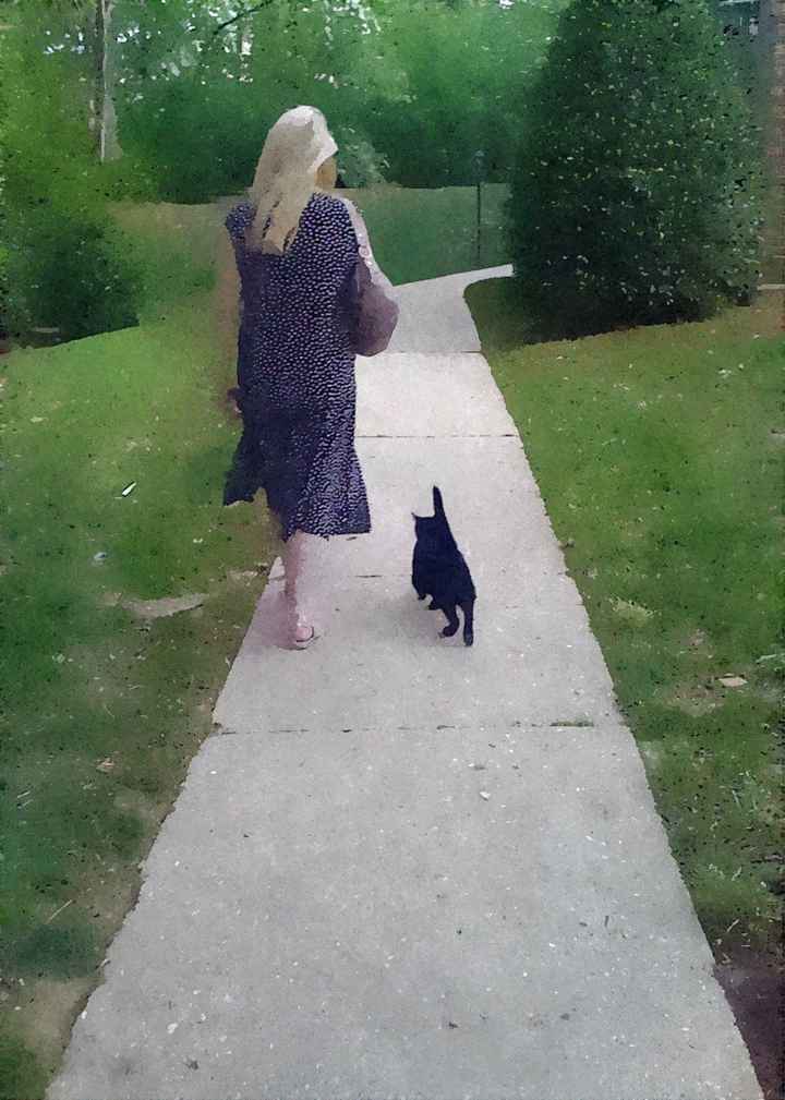 NWR: My cat just died