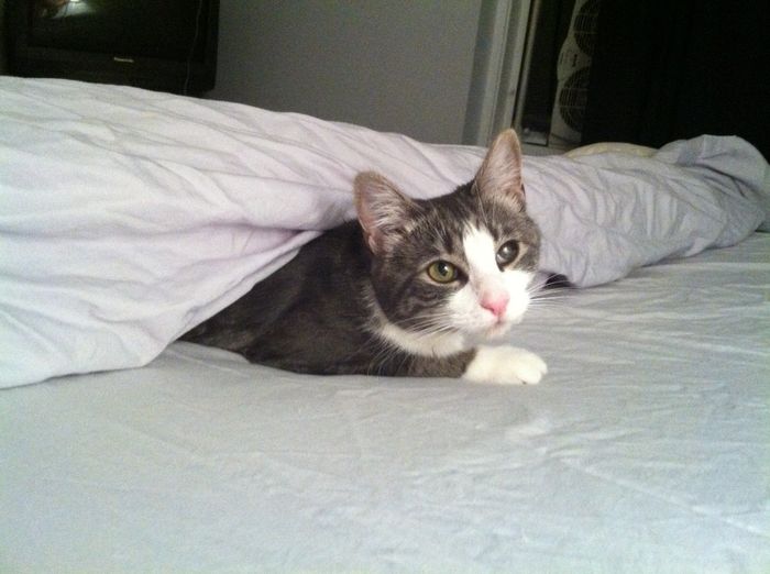 NWR: Fur Baby! :)