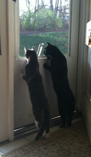 Show mee yourrr…..