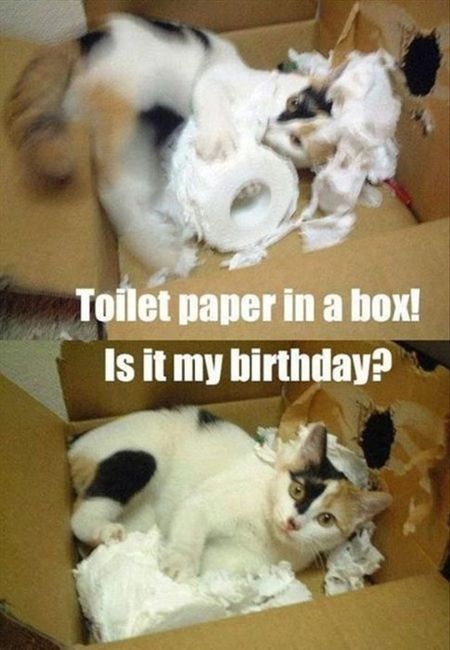 In honor of GameCox' birthday...TODAY IS MEME DAY.