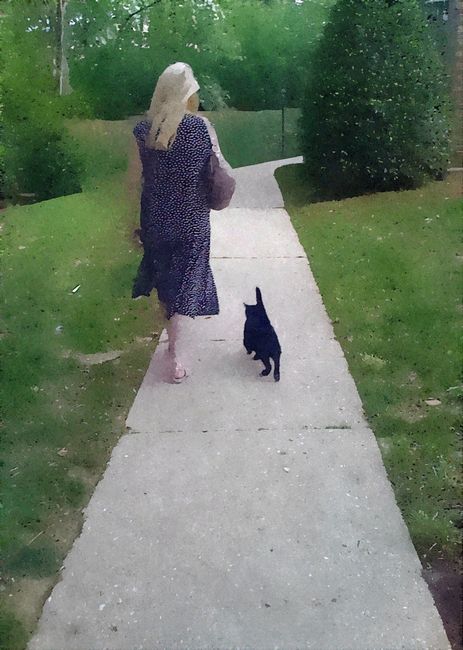 NWR: My cat just died
